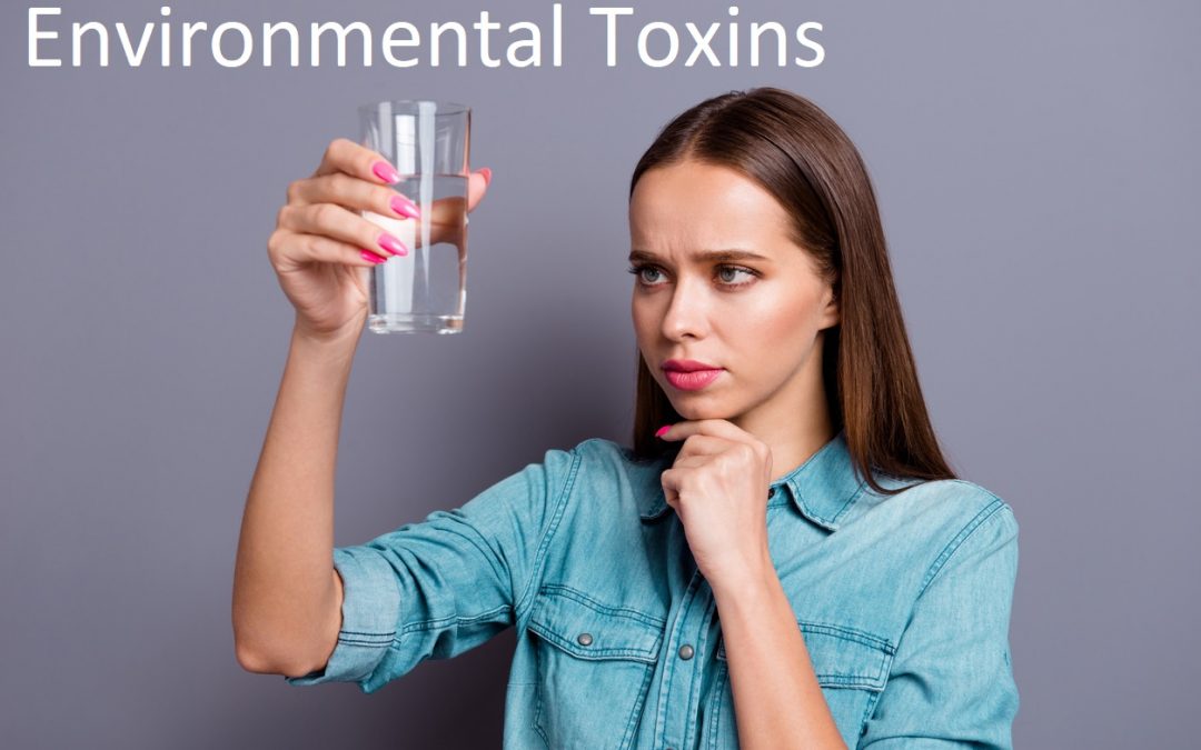 6 Facts About Environmental Toxins