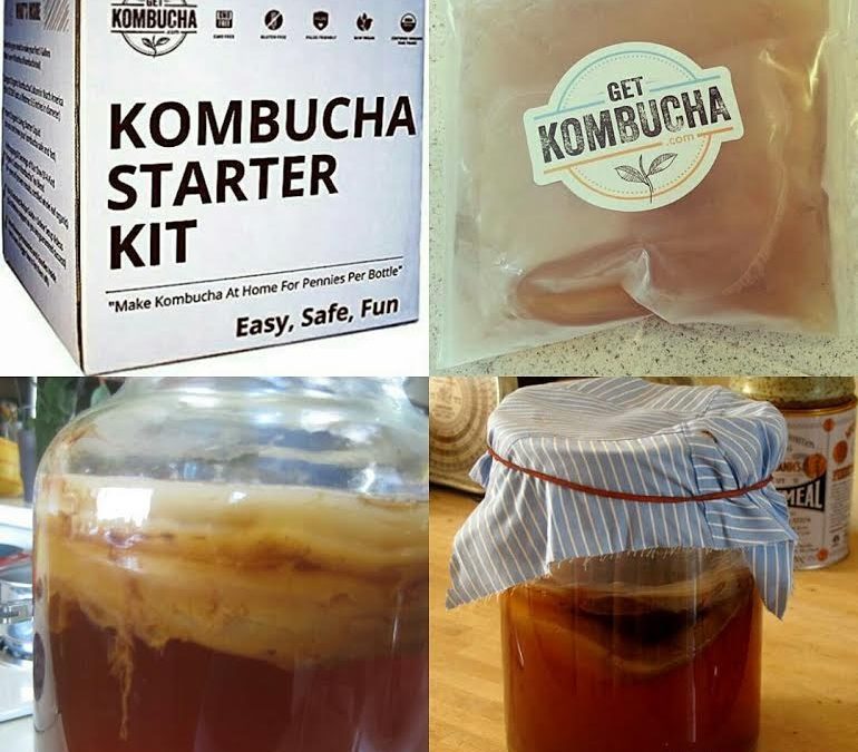 My Kombucha Starter Kit