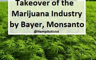 Monsanto & Bayer Collude to Take over the Cannabis Industry