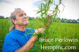 Hemp Inc CEO, Bruce Perlowin